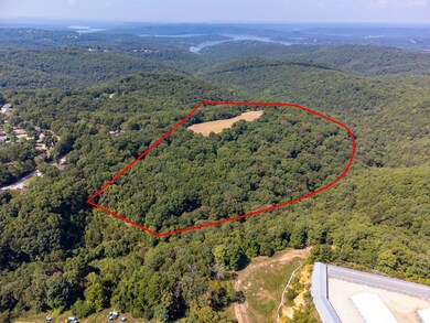 000 Kristina Ln, Kimberling City, MO 65686 - photo 6