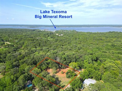 157 James Shannon Ln, Sadler, TX 76264 - photo 4