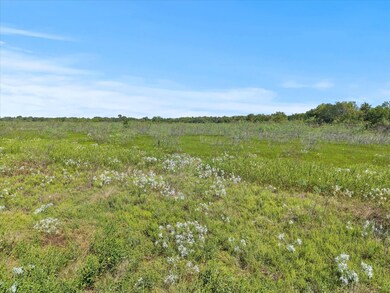 TBD Farm To Market Road 148, Terrell, TX 75160 - photo 4