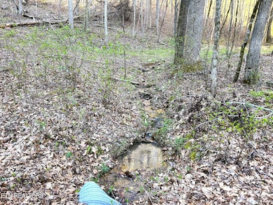 owl tract 2 2nd creek 1
