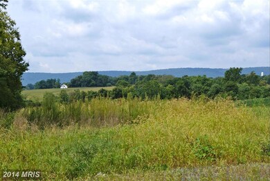 3712 Petersville Rd, Knoxville, MD 21758 - photo 7