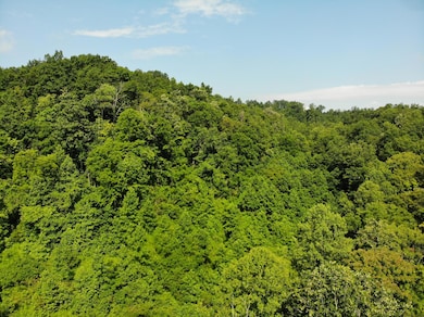 DJI_0125