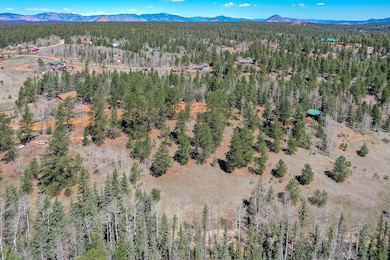 112 Blue Jay Ln, Divide, CO 80814 - photo 7