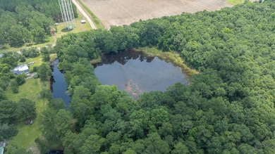 HWY 19 U S Highway 19, Camilla, GA 31730 - photo 6