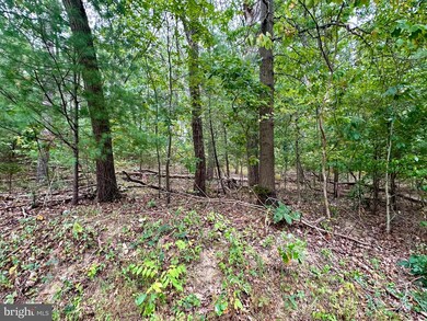 0 Salem Bottom Rd unit MDCR2030184, Westminster, MD 21157 - photo 6