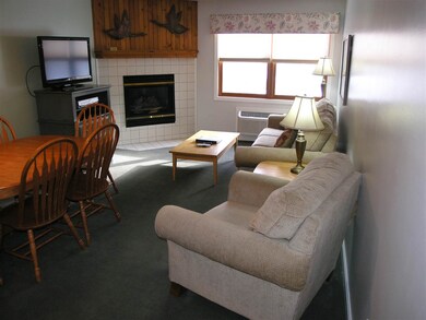 164 Deer Park Dr unit 163 B, Woodstock, NH 03262 - photo 3