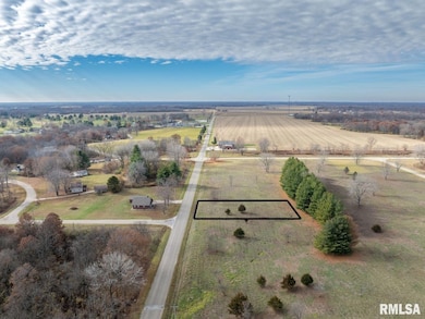 247 S Lakeview Rd, Dahinda, IL 61428 - photo 3