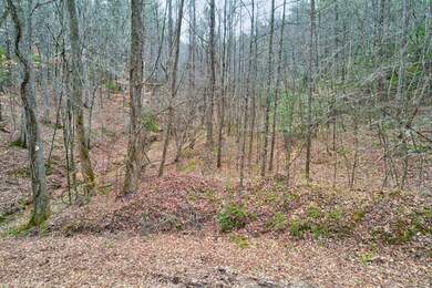 tr 6 Old Bucktown Rd, Ellijay, GA 30536 - photo 2