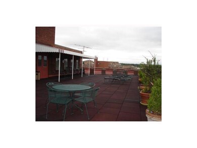 Yard/Garden. Rooftop Patio