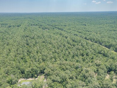 xx Acorn Dr, Crawfordville, FL 32327 - photo 2