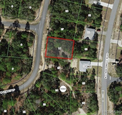 11373 N Kenney Loop, Citrus Springs, FL 34433 - photo 5