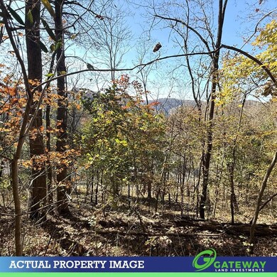 0 Bella Grace Dr unit 25572456, Smithville, TN 37166 - photo 3