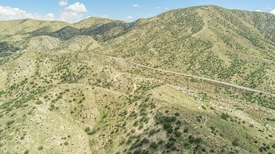 0 Mt Emma Rd unit 25002688, Acton, CA 91350 - photo 5