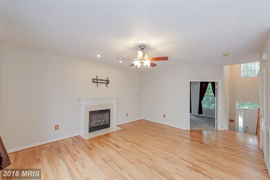 106 Egypt Farms Rd, Owings Mills, MD 21117 - photo 4