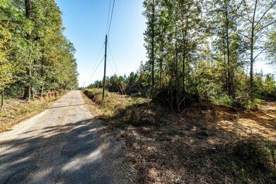 Parcel 3, Tylertown, MS 39667 - photo 4