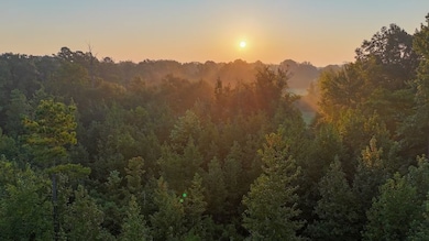 254 Putnam Rd unit LotWP001, Pickens, MS 39146 - photo 2