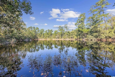 TBD Old Reaves Ferry Rd unit TBD Old Highway 90, Conway, SC 29526 - photo 7