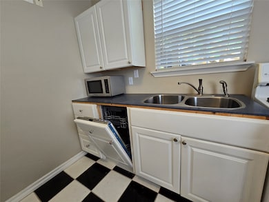 The kitchen includes a dishwasher disguised as a c