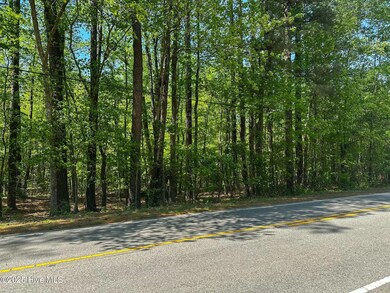 0 S Mcneill St, Carthage, NC 28327 - photo 3