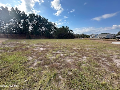 2216 Palm Pointe NE, Leland, NC 28451 - photo 3