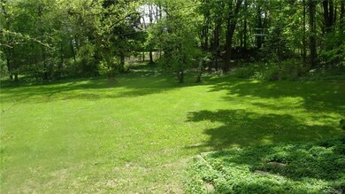 rear yard, plenty of room to roam