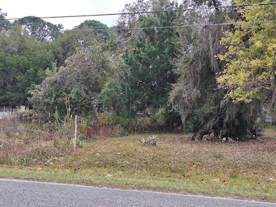 203 Crescent Lake Shore Dr, Crescent City, FL 32112 - photo 6