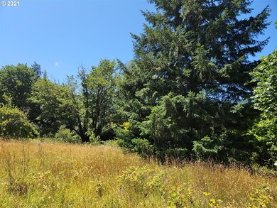 0 Big Creek Rd, Myrtle Point, OR 97458 - photo 4