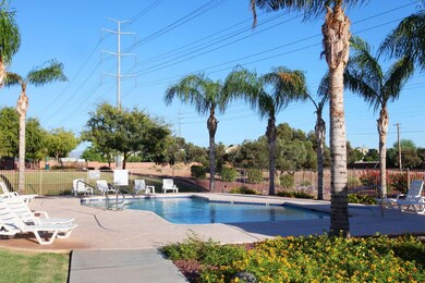 Community pool 2