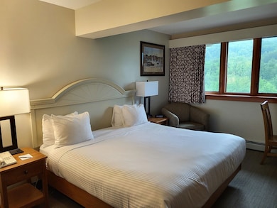 90 Loon Mountain Rd unit 1149C, Lincoln, NH 03251 - photo 7