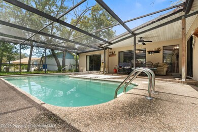 4482 Plumosa St, Spring Hill, FL 34607 - photo 2