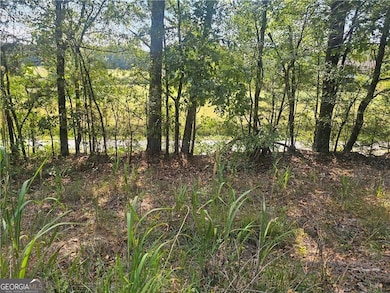 1394 Spring Place Rd, Rydal, GA 30171 - photo 6