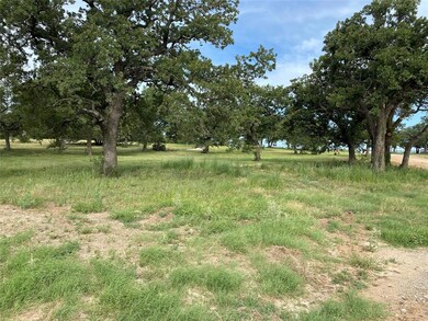 4100 Old Dennis Rd, Weatherford, TX 76087 - photo 7