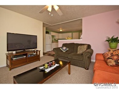 115 Wyatt St, Asheville, NC 28803 - photo 4