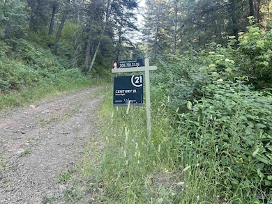 TBD Bobcat Ln, Lewiston, ID 83501 - photo 3