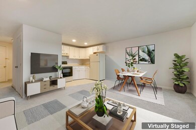 Open Concept