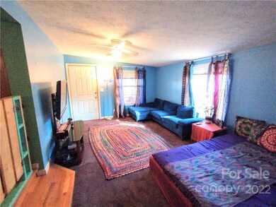 89 Conner Rd, Candler, NC 28715 - photo 7