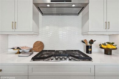 Kitchen with ventilation hood, stainless steel gas
