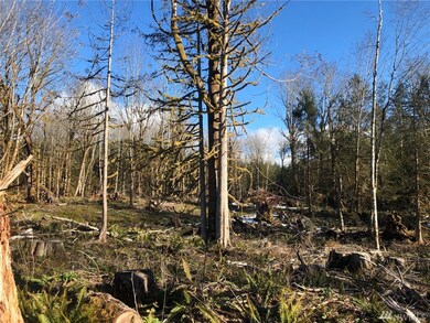 22 Nickelbush Rd, Quilcene, WA 98376 - photo 3