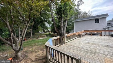 320 University Blvd E, Silver Spring, MD 20901 - photo 3