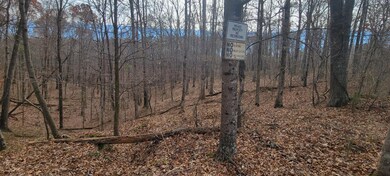 1081 Edenway Rd, Dover, TN 37058 - photo 2