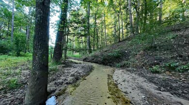 Anderson County Road 445, Brushy Creek, TX 75803 - photo 7