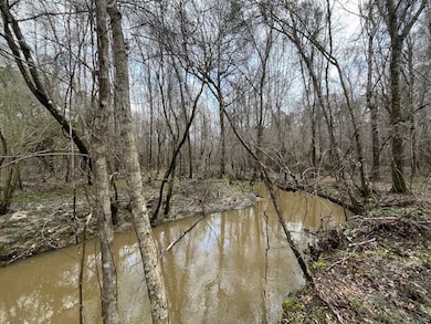 920b Auburn Dr SW, Bogue Chitto, MS 39629 - photo 2