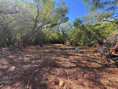 952 Luawai St, Olowalu, HI 96761 - photo 6