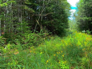 Land View