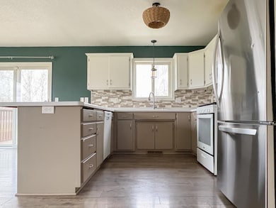 218 Meadowview Rd, Foreston, MN 56330 - photo 5