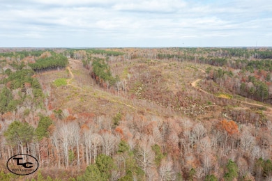 0 Bird Farm Rd, Jasper, AL 35503 - photo 7