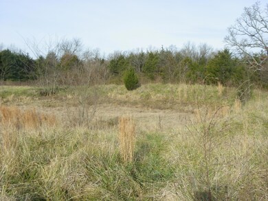 IMGP0837