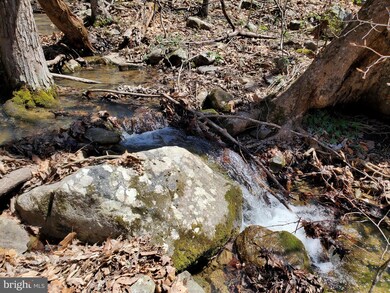 0 Brush Leaf Ln unit VASH2003004, Mount Jackson, VA 22842 - photo 2