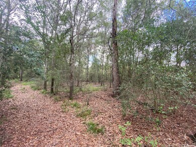 00000 Oak Bend Dr, Alvin, TX 77511 - photo 6