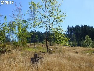 12267 S Groshong Rd, Molalla, OR 97038 - photo 5